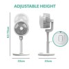 electriQ 9-Inch DC Oscillating Pedestal Fan - Whisper Quiet&amp; Low Energy
