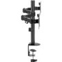 V7 DM1GCD Clamp Mount for Monitor 2 Displays Supported