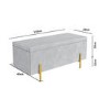 Darcey Velvet Storage Bench in Silver Grey with Gold Leg