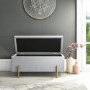 Darcey Velvet Storage Bench in Silver Grey with Gold Leg