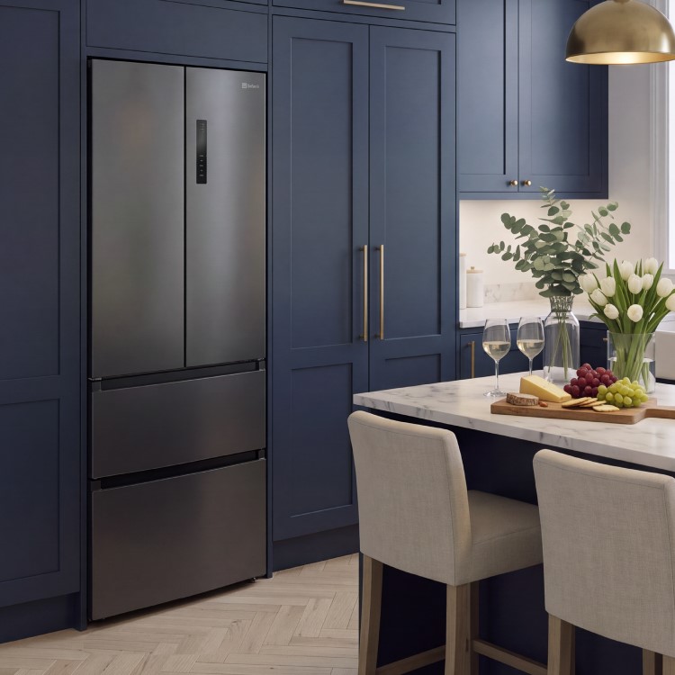 DeSantii 400 Litre French Style American Fridge Freezer - Dark Inox