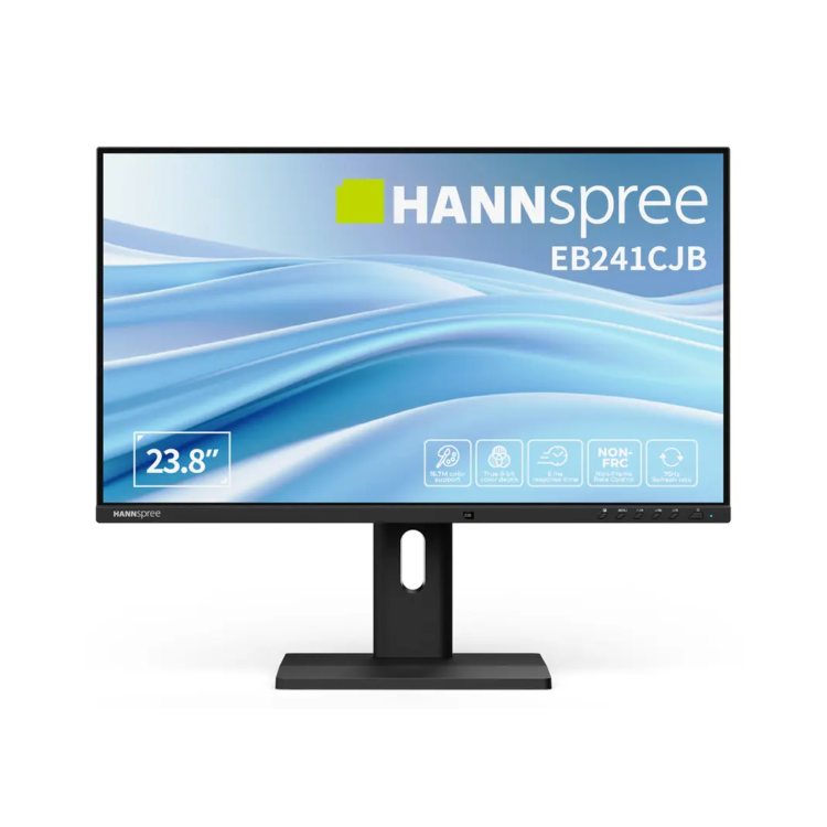 HANNspree 23.8" Hybri Paperlike TN Transflective LCD Full HD Eye-Care USB-C Height-Adjustable Monitor