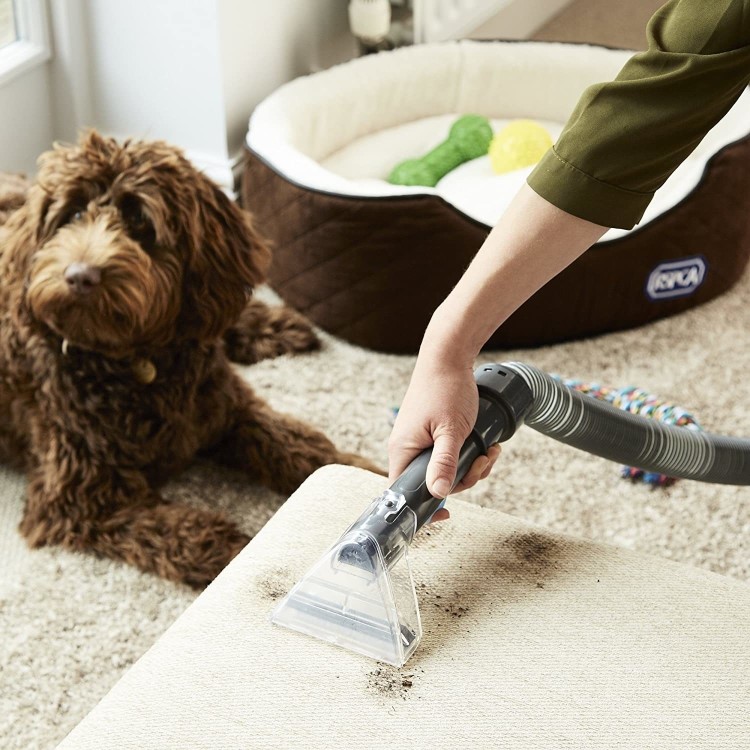 Refurbished Vax Dual Power Pet Advance Carpet Cleaner with Pet Odour Solution