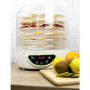 electriQ BPA Free Digital Food Dehydrator & Dryer with 6 Collapsible Shelves and 48 Hour Timer