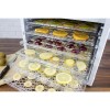 electriQ BPA Free Digital Food Dehydrator with Temperature Control and Timer