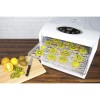 electriQ BPA Free Digital Food Dehydrator with Temperature Control and Timer