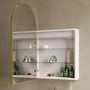 Single Door Brass Bathroom Mirror Cabinet with Lights Demister & Shaver Socket 500 x 800mm - Empire