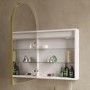 Single Door Brass Bathroom Mirror Cabinet with Lights Demister & Shaver Socket 500 x 800mm - Empire