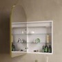 Single Door Brass Bathroom Mirror Cabinet with Lights Demister & Shaver Socket 500 x 800mm - Empire