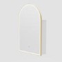Single Door Brass Bathroom Mirror Cabinet with Lights Demister & Shaver Socket 500 x 800mm - Empire