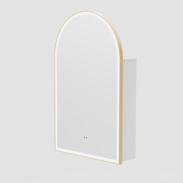 Single Door Brass Bathroom Mirror Cabinet with Lights Demister & Shaver Socket 500 x 800mm - Empire