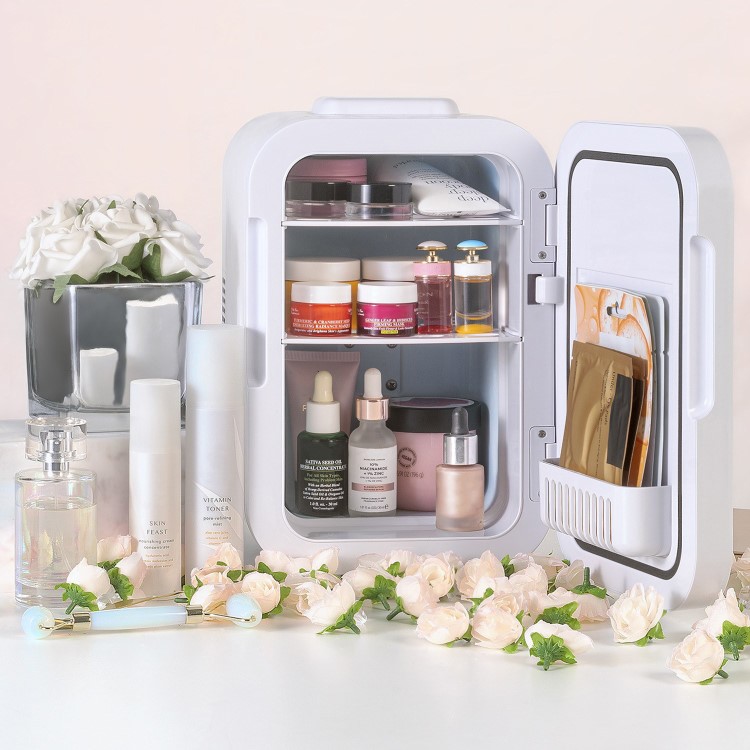 electriQ 6L Portable Mini Skincare Fridge with Mirror and LED Light 