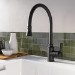 Traditional Single Lever Pull Out Matt Black Monobloc Kitchen Sink Mixer Tap - Evelyn