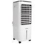 electriQ EcoCool 12L  Evaporative Air Cooler and Air Purifier