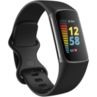 Fitbit Charge 5 Graphite and Black Stainless Steel Fitness Tracker