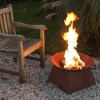 Fallen Fruits Rust Round Fire Pit Bowl with Square Stand