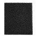 Carbon filter for CD10P