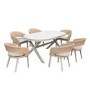 6 Seater Beige Aluminium & Rattan Oval Garden Dining Set