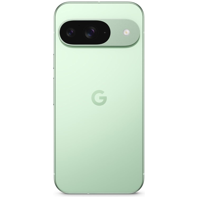 Google Pixel 9 Wintergreen 6.3" 256GB 5G Unlocked & SIM Free Smartphone