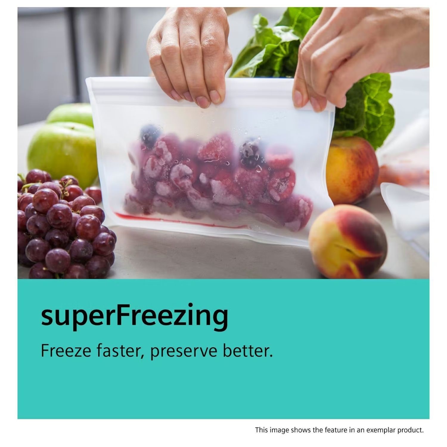 Buy Mirror Radiator Siemens 334 Litre Freestanding Freezer - Black Steel - Page 1 ...