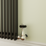 Reggio Midnight Black Horizontal Double Column Radiator 800x605mm 2680 BTU - Cast Iron Style