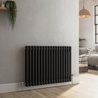 GRADE A1 - Reggio Midnight Black Horizontal Double Column Traditional Radiator 600x830mm 2832 BTU - Cast Iron Style