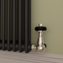 Reggio Midnight Black Horizontal Double Column Radiator 800x1190mm 5361 BTU - Cast Iron Style