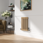 Reggio Elk brown Horizontal Double Column Traditional Radiator 600x425mm 1416 BTU - Cast Iron Style