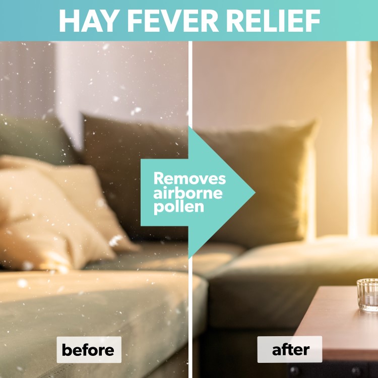 Honeywell HPA830WE Designer True HEPA Air Purifier with Aroma Diffuser