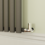 Sorrento Anthracite Horizontal Oval Designer Radiator 800x590mm Single Panel 1576 BTU