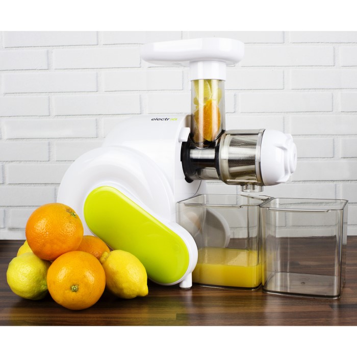 ElectriQ HSL600 Slow Masticating Cold Press Juicer - Buy It Direct