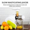 electriQ Horizontal Slow Masticating Cold Press Juicer Machine