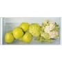 Hotpoint 171 Litre In-column Integrated Fridge with Ice Box