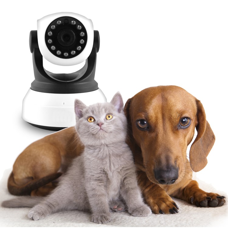 GRADE A1 - electriQ HD 720p Wifi Pet Monitoring Pan Tilt Zoom Camera with 2-way Audio & dedicated App
