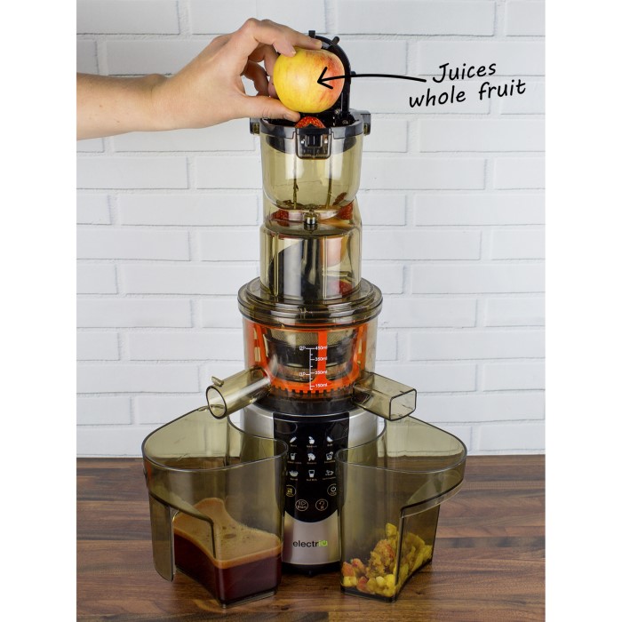 electriQ Slow Whole Fruit Juicer perfect for Cold Pressed Greens Juices and Smoothies - Buy It ...