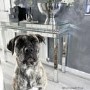 Narrow Mirrored Hall Console Table with Diamond Gems - Jade Boutique