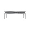 Large Rectangular Glass Coffee Table - Jade Boutique