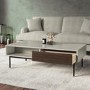 Rectangular Beige Wooden Coffee Table - Kallen