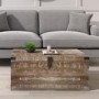 Limewash Wooden Storage Coffee Table Trunk - Industrial - Kelby