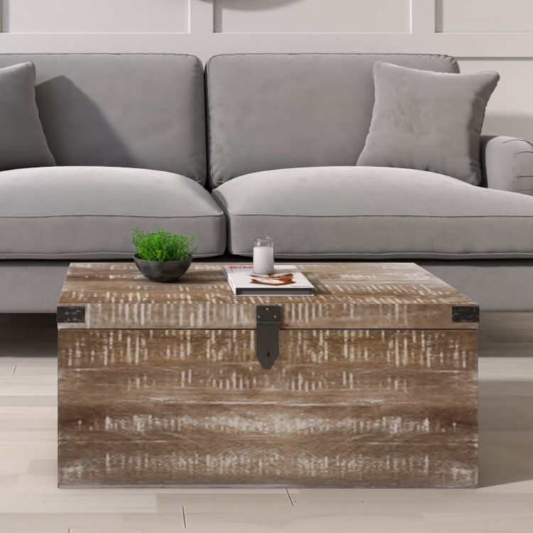 Limewash Wooden Storage Coffee Table Trunk - Industrial - Kelby