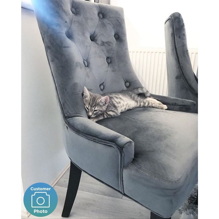 Kaylee Grey Velvet Dining Chairs with Black Legs - Set of 2