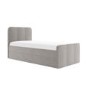 Grey Velvet Single Guest Bed with Trundle - Layla
