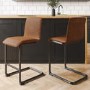 Tan Faux Leather Cantilever Kitchen Stool with Back - 66cm - Lucas