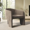 LYA001 Mink Velvet Curved Accent Chair - Lyanna
