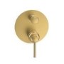 Brushed Brass 2 Outlet Wall Mounted Mixer Shower Set With Bath Filler Spout - Lyla