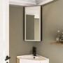 Single Door Corner Black Bathroom Mirror Cabinet with Lights 300 x 600mm - Lykos