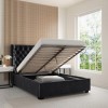 Dark Grey Velvet Double Ottoman Bed with Curved Headboard - Milania