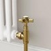Maesta Brushed Brass Traditional Manual Angled Radiator Valves (pair)