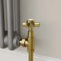 Maesta Brushed Brass Traditional Manual Angled Radiator Valves (pair)