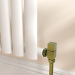 Elego Brushed Brass Modern Manual Angled Radiator Valves (pair)